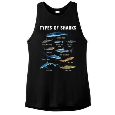 Types Of Sharks Shark Ladies PosiCharge Tri-Blend Wicking Tank