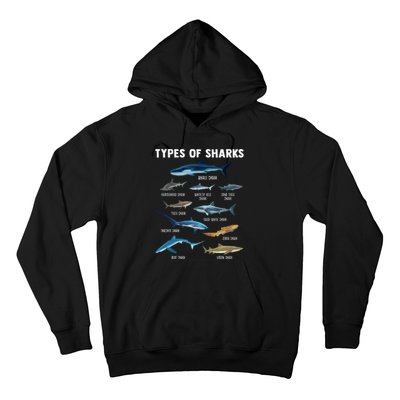 Types Of Sharks Shark Hoodie