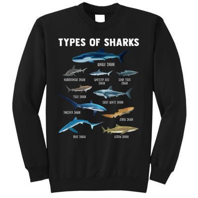 Types Of Sharks Shark Sweatshirt