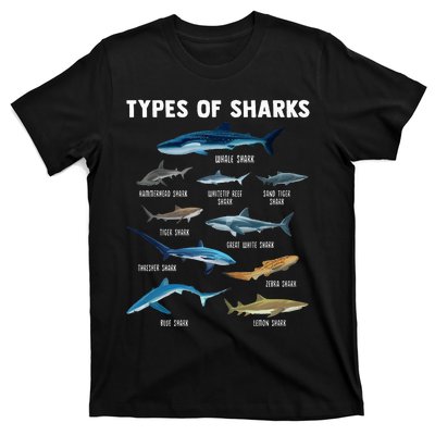 Types Of Sharks Shark T-Shirt