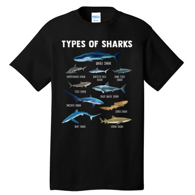 Types Of Sharks Shark Tall T-Shirt