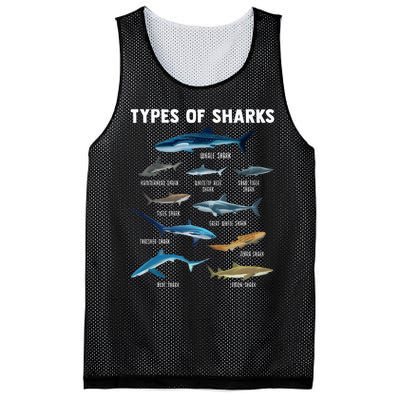 Types Of Sharks Shark Mesh Reversible Basketball Jersey Tank