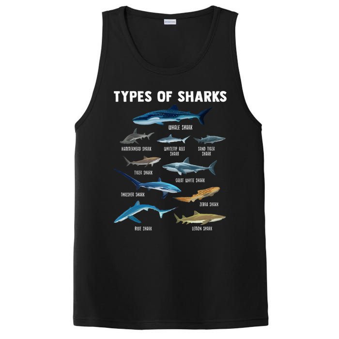 Types Of Sharks Shark PosiCharge Competitor Tank