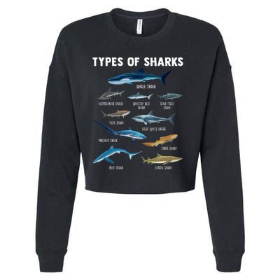 Types Of Sharks Shark Cropped Pullover Crew