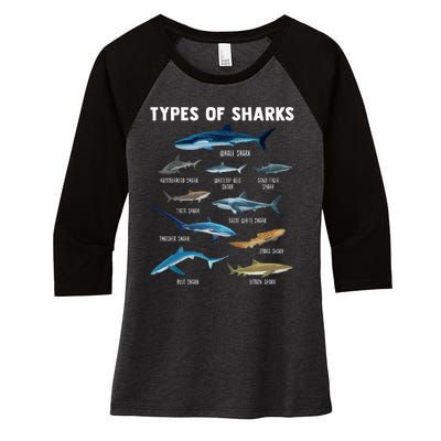 Types Of Sharks Shark Women's Tri-Blend 3/4-Sleeve Raglan Shirt