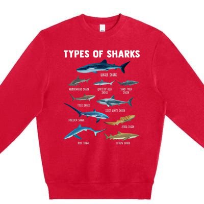 Types Of Sharks Shark Premium Crewneck Sweatshirt