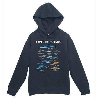 Types Of Sharks Shark Urban Pullover Hoodie