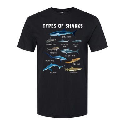 Types Of Sharks Shark Softstyle® CVC T-Shirt