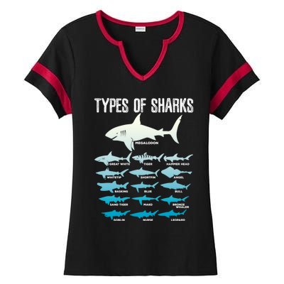 Types Of Sharks Marine Biologist 16 Shark Lovers Gift Ladies Halftime Notch Neck Tee