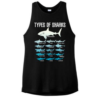 Types Of Sharks Marine Biologist 16 Shark Lovers Gift Ladies PosiCharge Tri-Blend Wicking Tank