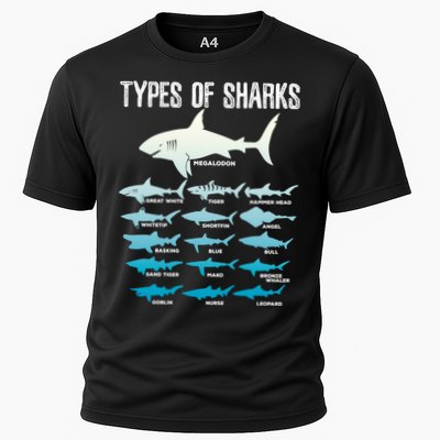 Types Of Sharks Marine Biologist 16 Shark Lovers Gift Performance Shirt