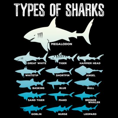 Types Of Sharks Marine Biologist 16 Shark Lovers Gift T-Shirt