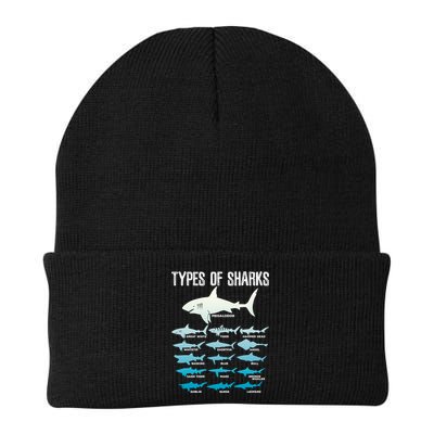 Types Of Sharks Marine Biologist 16 Shark Lovers Gift Beanie