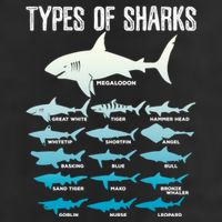 Types Of Sharks Marine Biologist 16 Shark Lovers Gift Beanie