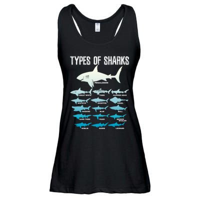 Types Of Sharks Marine Biologist 16 Shark Lovers Gift Ladies Essential Flowy Tank