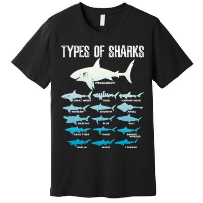 Types Of Sharks Marine Biologist 16 Shark Lovers Gift Premium T-Shirt