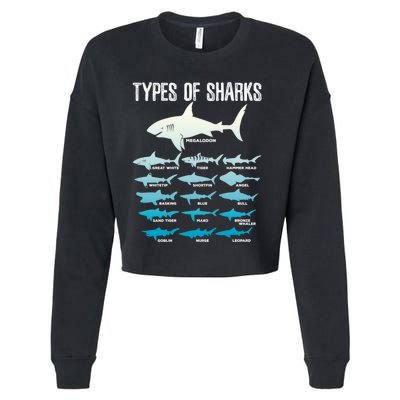 Types Of Sharks Marine Biologist 16 Shark Lovers Gift Cropped Pullover Crew