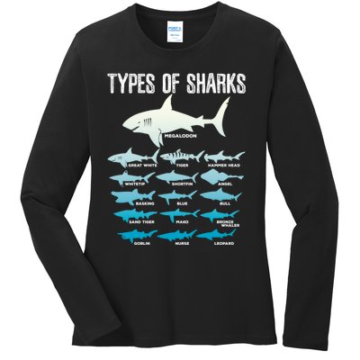 Types Of Sharks Marine Biologist 16 Shark Lovers Gift Ladies Long Sleeve Shirt