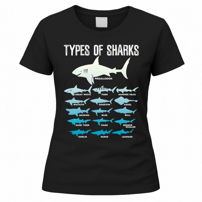 Types Of Sharks Marine Biologist 16 Shark Lovers Gift Women's T-Shirt