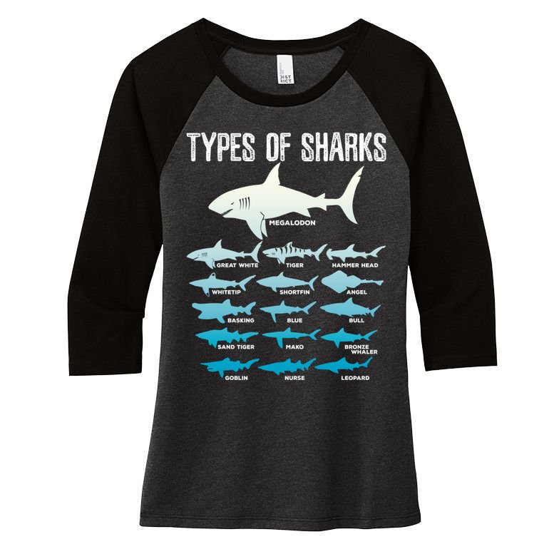 Types Of Sharks Marine Biologist 16 Shark Lovers Gift Women's Tri-Blend 3/4-Sleeve Raglan Shirt