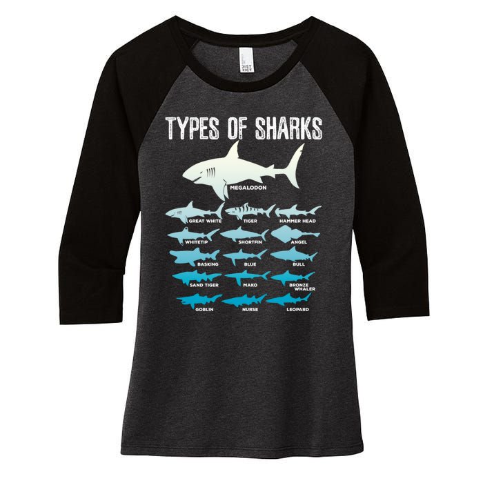 Types Of Sharks Marine Biologist 16 Shark Lovers Gift Women's Tri-Blend 3/4-Sleeve Raglan Shirt