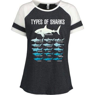 Types Of Sharks Marine Biologist 16 Shark Lovers Gift Enza Ladies Jersey Colorblock Tee