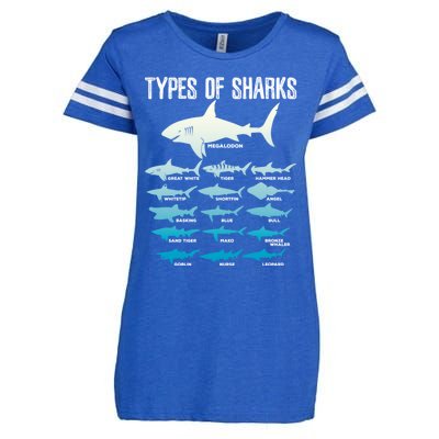 Types Of Sharks Marine Biologist 16 Shark Lovers Gift Enza Ladies Jersey Football T-Shirt