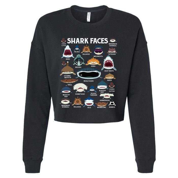 Types Of Sharks Faces Identification Birthday School Cropped Pullover Crew