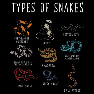 Types Of Snakes Educational Serpent 9 Different Snake T-Shirt