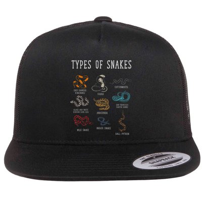 Types Of Snakes Educational Serpent 9 Different Snake Flatbill Hat