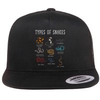 Types Of Snakes Educational Serpent 9 Different Snake Flat Bill Trucker Hat