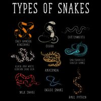 Types Of Snakes Educational Serpent 9 Different Snake Flat Bill Trucker Hat