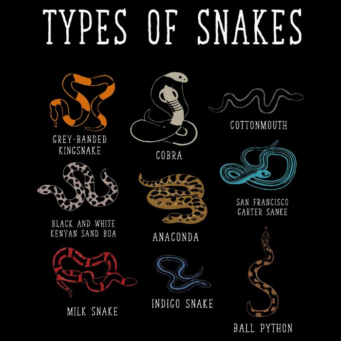 Types Of Snakes Educational Serpent 9 Different Snake Flat Bill Trucker Hat