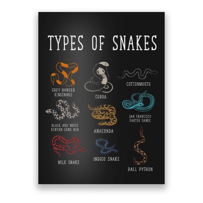 Types Of Snakes Educational Serpent 9 Different Snake Poster