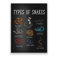 Types Of Snakes Educational Serpent 9 Different Snake Poster