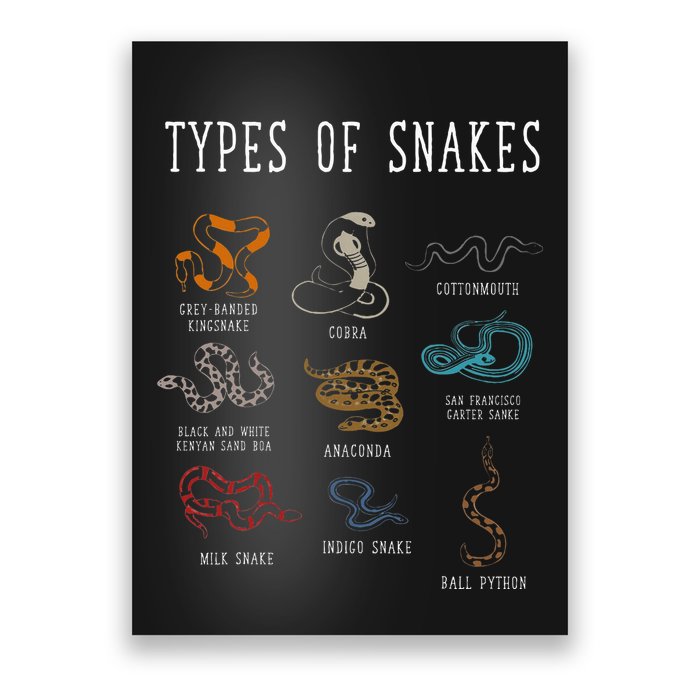 Types Of Snakes Educational Serpent 9 Different Snake Poster