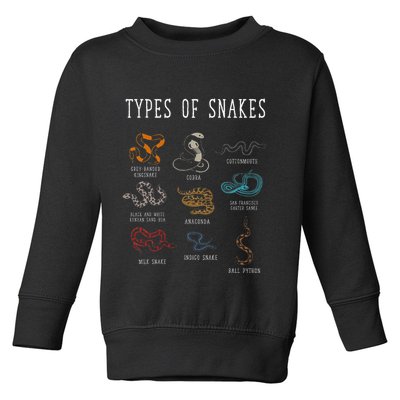 Types Of Snakes Educational Serpent 9 Different Snake Toddler Sweatshirt