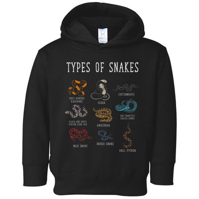 Types Of Snakes Educational Serpent 9 Different Snake Toddler Hoodie