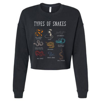 Types Of Snakes Educational Serpent 9 Different Snake Cropped Pullover Crew