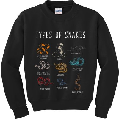 Types Of Snakes Educational Serpent 9 Different Snake Kids Sweatshirt