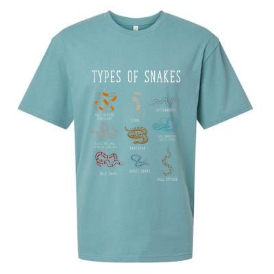 Types Of Snakes Educational Serpent 9 Different Snake Sueded Cloud Jersey T-Shirt