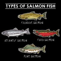 Types of Salmon Fish for Salmon Fishing Baby Bodysuit