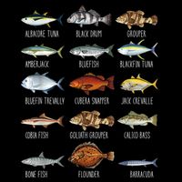 Types Of Saltwater Fish Species Biology Fishing Lover Doggie Tank