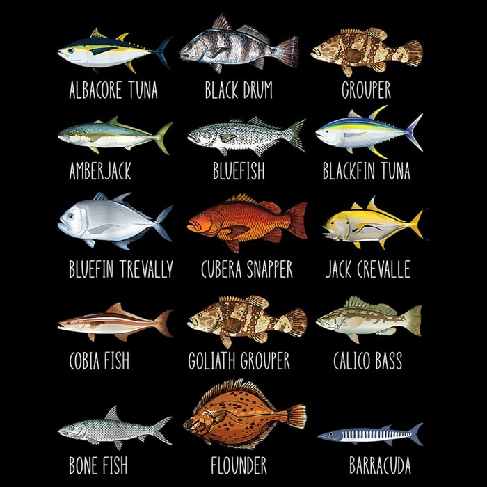Types Of Saltwater Fish Species Biology Fishing Lover Doggie Tank