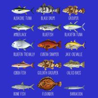 Types Of Saltwater Fish Species Biology Fishing Lover Sweatshirt