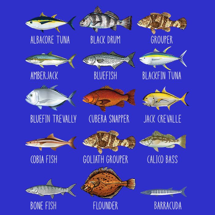 Types Of Saltwater Fish Species Biology Fishing Lover Sweatshirt