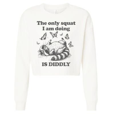 The Only Squat IM Doing Is Diddly Squat Funny Raccoon Meme Cropped Pullover Crew