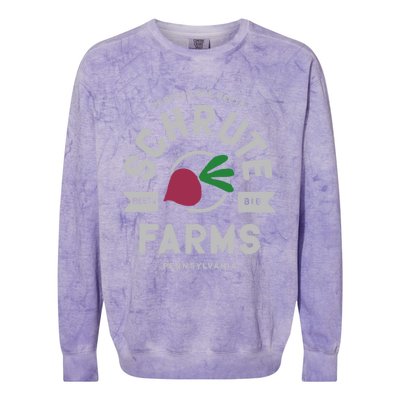 The Office Schrute Farms Logo Gift Colorblast Crewneck Sweatshirt