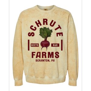 The Office Schrute Farms Colorblast Crewneck Sweatshirt