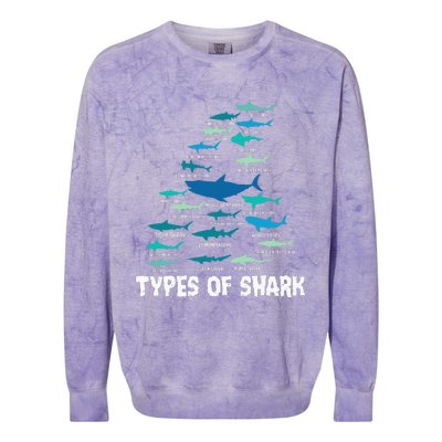 Types Of Shark Megalodon Great White Nurse Shark Colorblast Crewneck Sweatshirt